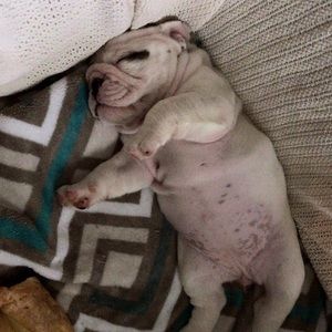 Meet your Posher, Cameron